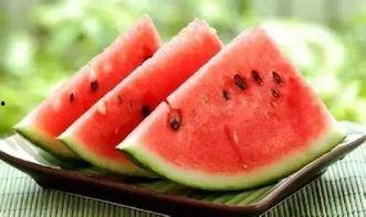 河南学校吃瓜事件,校园食品安全问题引发关注