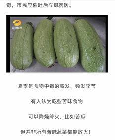 怎么吃瓜不苦,如何品尝瓜果美味，尽享甜蜜时光