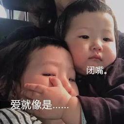 吃瓜啦抖音歌,揭秘背后故事与创作灵感