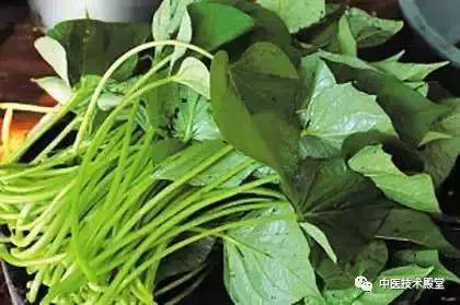 山瓜叶怎么吃,探索绿色食材的烹饪艺术