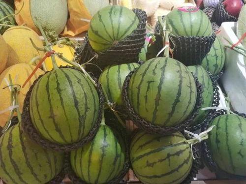 stg吃瓜,一场关于“吃瓜”的狂欢盛宴