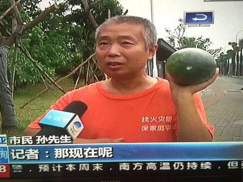 二中事件吃瓜,揭秘校园风波背后的真相