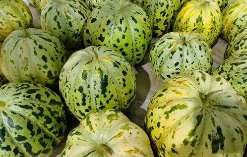 面瓜都是怎么吃,探索传统美食的无限可能