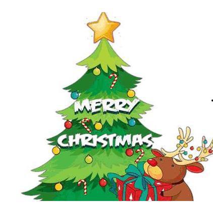 形容圣诞吃瓜的字,一场别开生面的美食盛宴