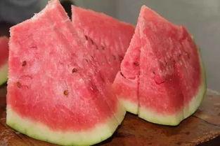 吃瓜石头人,揭秘人生百态的趣味观察者