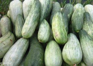 老瓜还能这么吃,探索无尽美味新境界