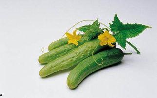 吃瓜不能跟什么东西吃,揭秘哪些食物与吃瓜相克