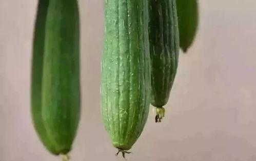 帅宝吃瓜,揭秘娱乐圈那些不为人知的幕后故事