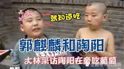 大郭吃瓜,揭秘娱乐圈幕后故事