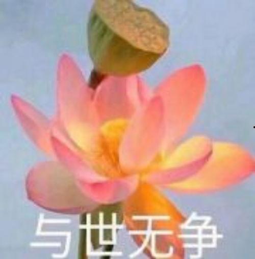 莲花楼动漫头像吃瓜,吃瓜群众眼中的奇幻世界