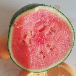 利川吃瓜视频李温柔,利川吃瓜视频背后的故事与魅力