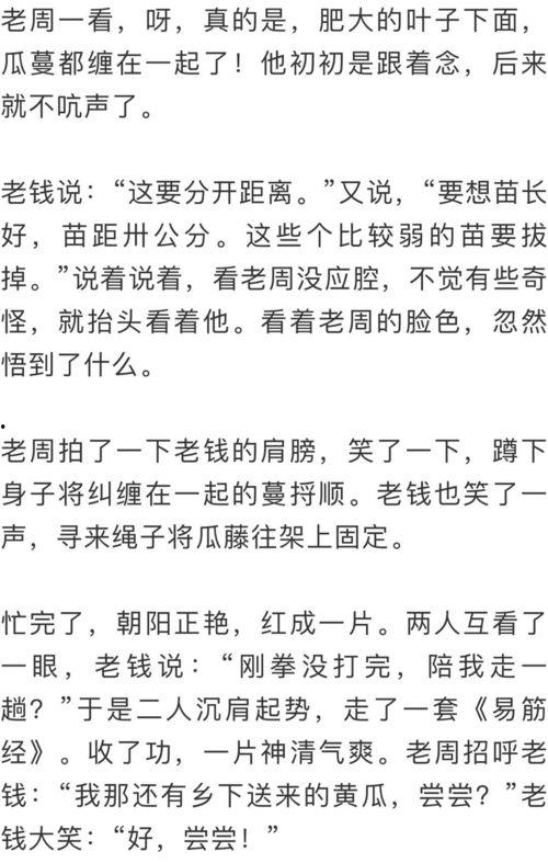 群众吃瓜400字作文,群众娱乐生活的缩影