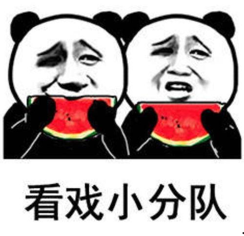 看你吃瓜表情包