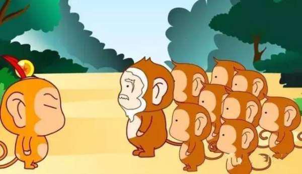 猴子吃瓜故事图片,一场欢乐的夏日食瓜盛宴