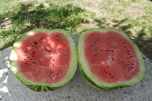 梦见死人吃瓜,揭秘梦中死人吃瓜的神秘寓意