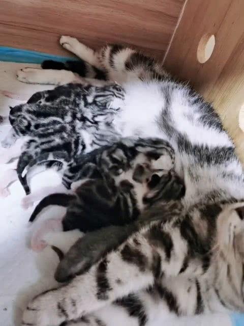 笑死吃瓜群众图片大全