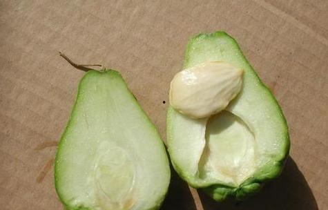 手瓜怎样吃佛手瓜,手瓜烹饪指南