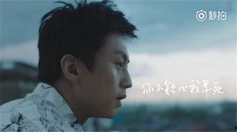 吃瓜群众 韩寒,揭秘文坛新锐的多元人生