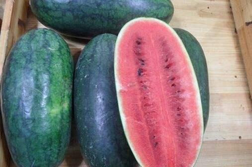 山东音乐老师吃瓜,一场网络狂欢背后的教育思考