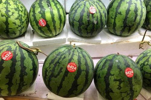 今日吃瓜-51吃瓜免费,揭秘娱乐圈最新热点！