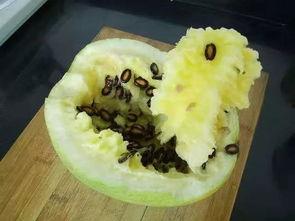 梦到吃洗籽瓜,揭秘梦中吃洗籽瓜的神秘寓意