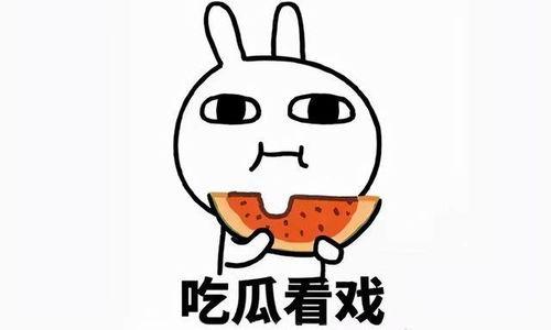 吃瓜红蚁,探寻神秘生物的生存智慧