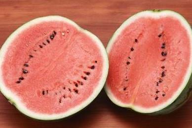 吃瓜红蚁,探寻神秘生物的生存智慧