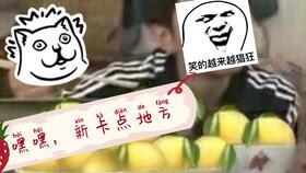 瓜哥视频搞笑带你吃瓜,搞笑吃瓜大揭秘