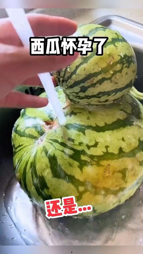 瓜哥视频搞笑带你吃瓜,搞笑吃瓜大揭秘