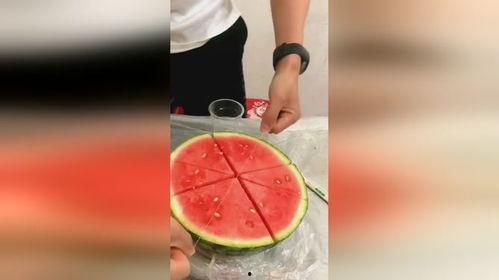 泗水牙医吃瓜,揭秘娱乐圈幕后真相