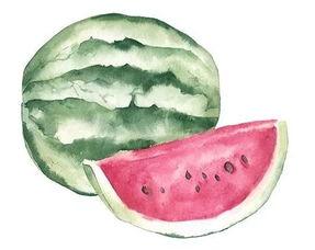 洗脸巾吃瓜,揭秘日常用品中的趣味生活