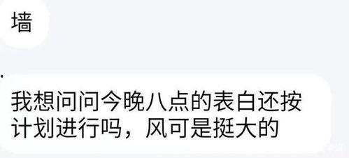 吃瓜被表白 小说,一场意外的爱情盛宴