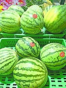 武汉主播吃瓜,趣味横生直播秀引网友热议