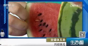 吃瓜不吐籽285,一场关于瓜果与人生的趣味之旅