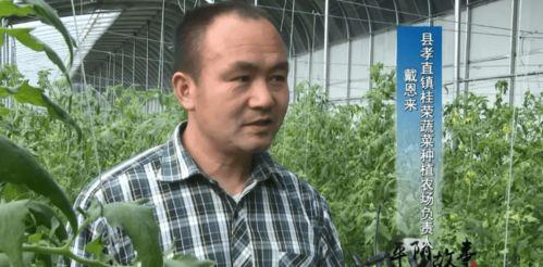 黄锐吃瓜蛋,揭秘娱乐圈幕后故事