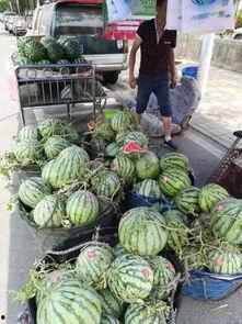 青白江吃瓜事件,一场网络热议背后的真相揭秘