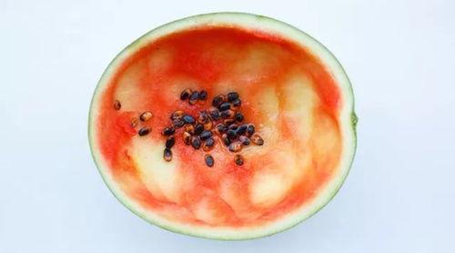 吃货用勺子吃无籽瓜