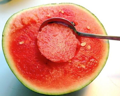 吃货用勺子吃无籽瓜