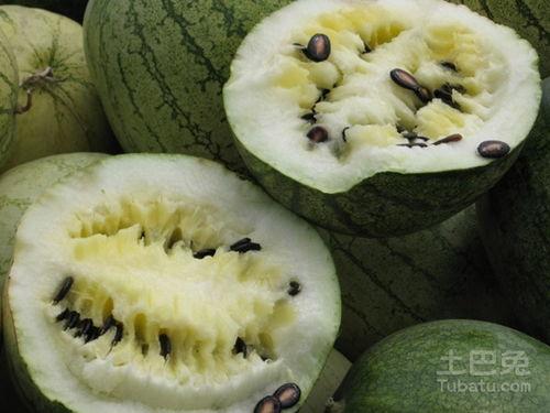 梦到吃洗籽瓜,揭秘梦中吃洗籽瓜的神秘寓意