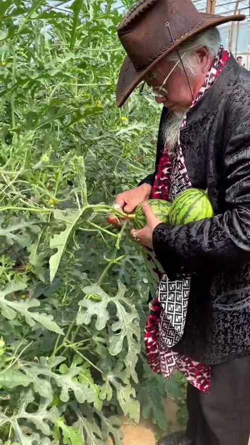 柴火姐妹吃瓜,揭秘娱乐圈幕后故事