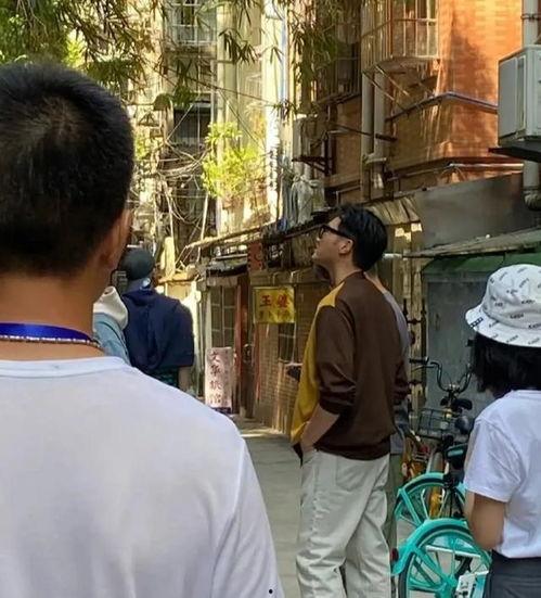 大湾仔吃瓜,吃瓜群众揭秘湾仔美食传奇