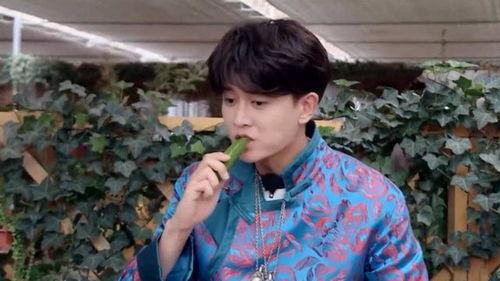 瓜地吃瓜任嘉伦,任嘉伦演绎夏日清新风