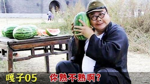 胖子翻译吃瓜视频大全