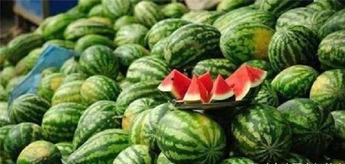 蹲下吃瓜,品味生活小确幸