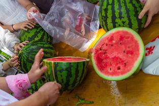 最帅吃瓜视频大全,笑料百出，精彩纷呈！