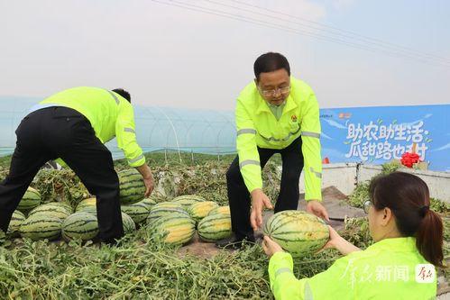 吃瓜助农,共助农兴——探索新型助农模式