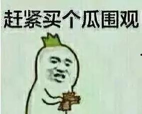 吃瓜群众李狗剩,吃瓜群众的麻辣点评