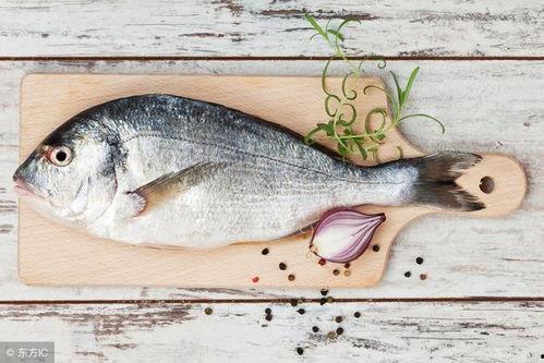 吃瓜呱鱼,揭秘吃瓜呱鱼的独特魅力与美食之旅