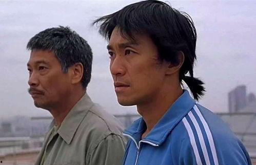 达叔吃瓜视频,揭秘娱乐圈幕后真相，带你领略明星们的真实生活