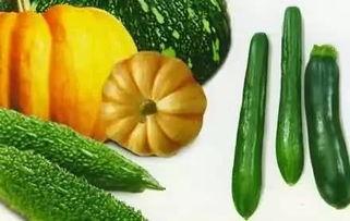 天津吃瓜事故详情,一场意外引发的公共安全反思